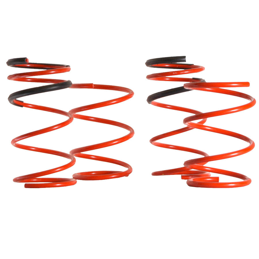 Lowering Springs