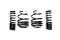 Spec-R Lowering Springs