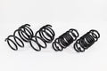 Spec-R Lowering Springs