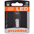 194A Amber LED Mini Light Bulb - 2-Pack