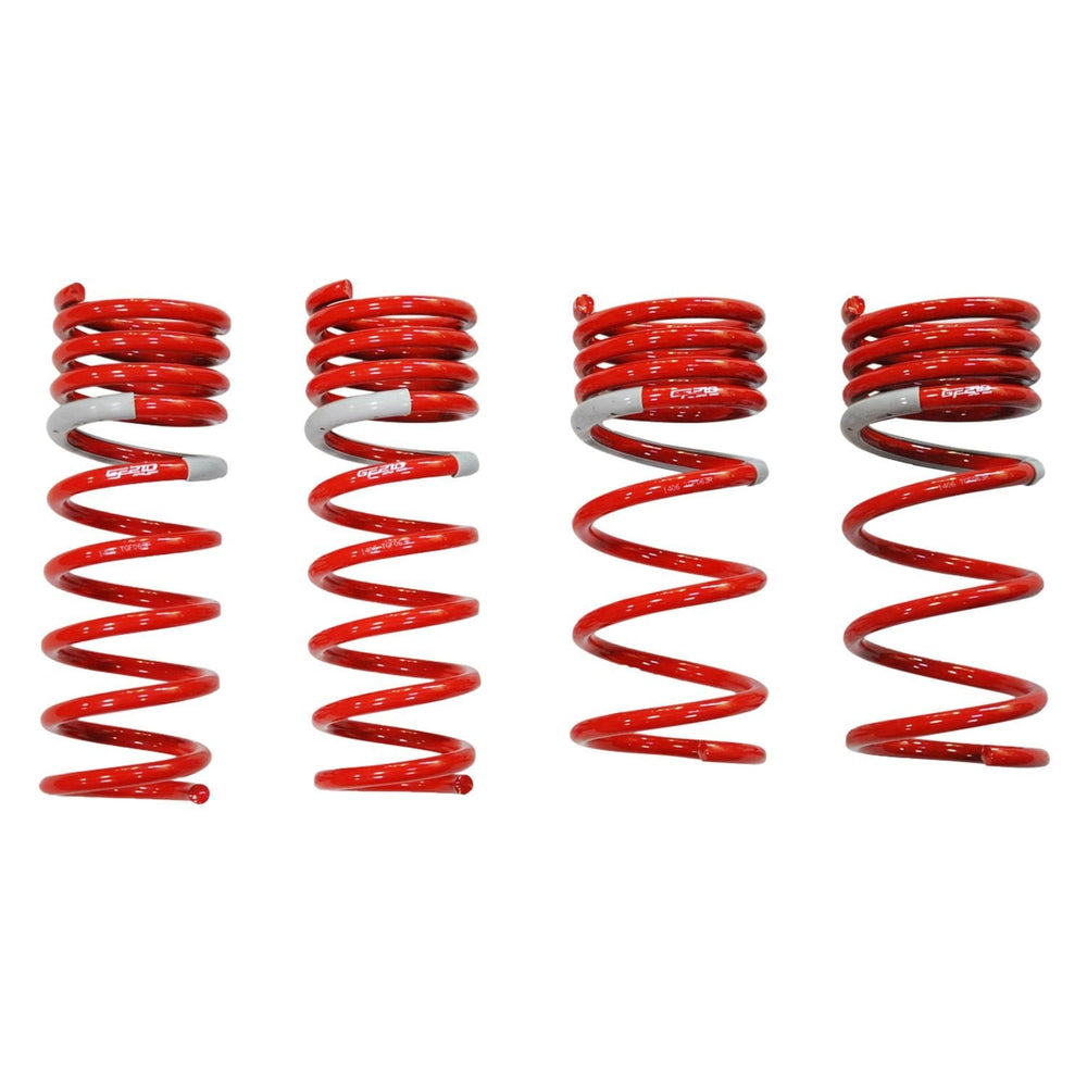 NF210 Lowering Coil Spring Set