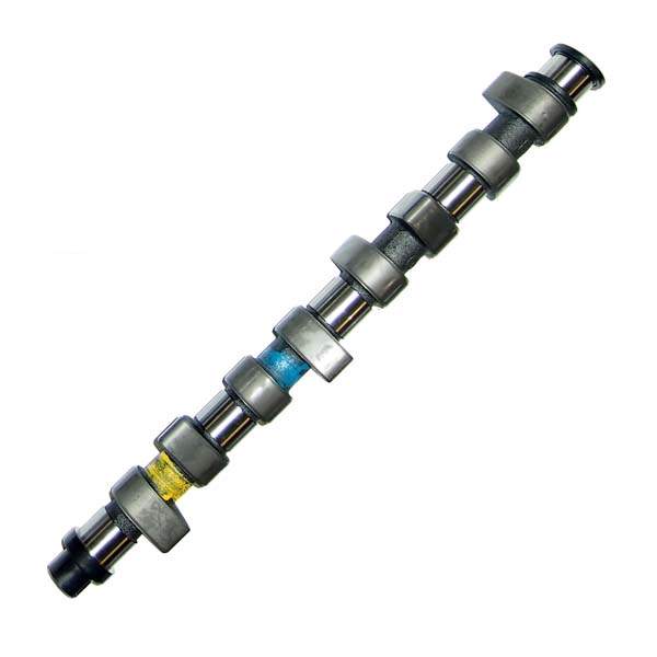 260° Hydraulic Sport Cam