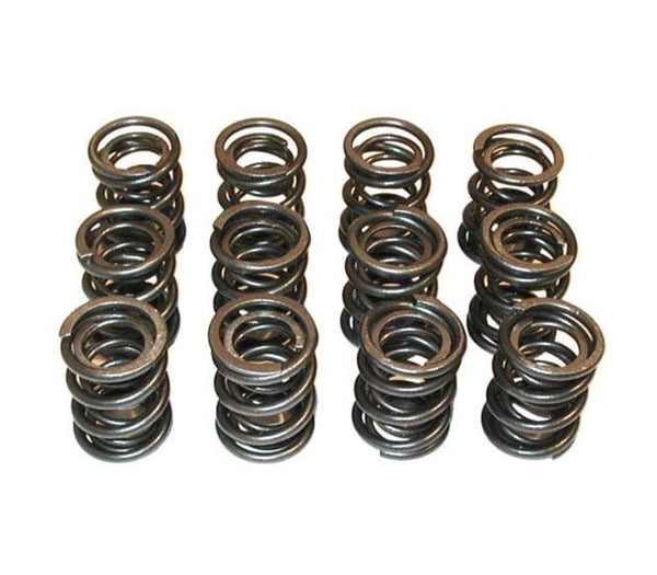 High-Lift H.D. Valve Spring Set