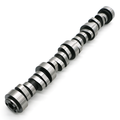 Stage 1 Cathedral Camshaft