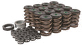 289-351W Hydraulic Roller Valve Spring Kit
