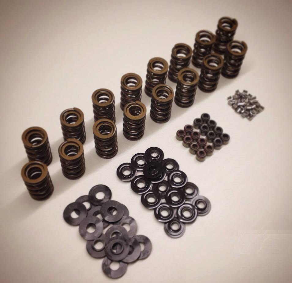 Dual Valve Spring Kit