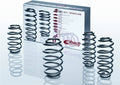 Pro-Kit Lowering Springs