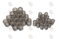 Up Rated Valve Springs Set