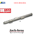 High Power Profile Intake Camshaft