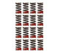 Type-A Valve Spring Kit for RB26DETT