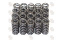 4A-G 20V Upgraded Valve Springs (11.0mm Lift)