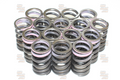 4A-G 20V Upgraded Valve Springs (11.0mm Lift)