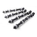 TA301A-NS04A Camshaft Set 258 Duration 10.20mm Lift