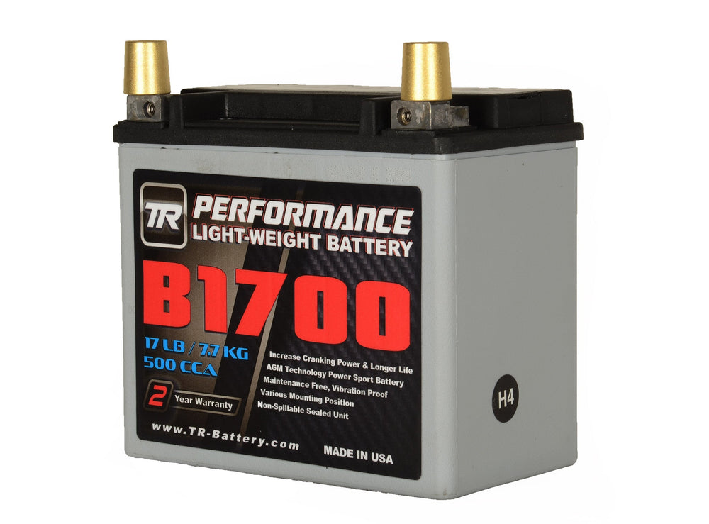 AGM Battery