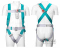 Safety Harness