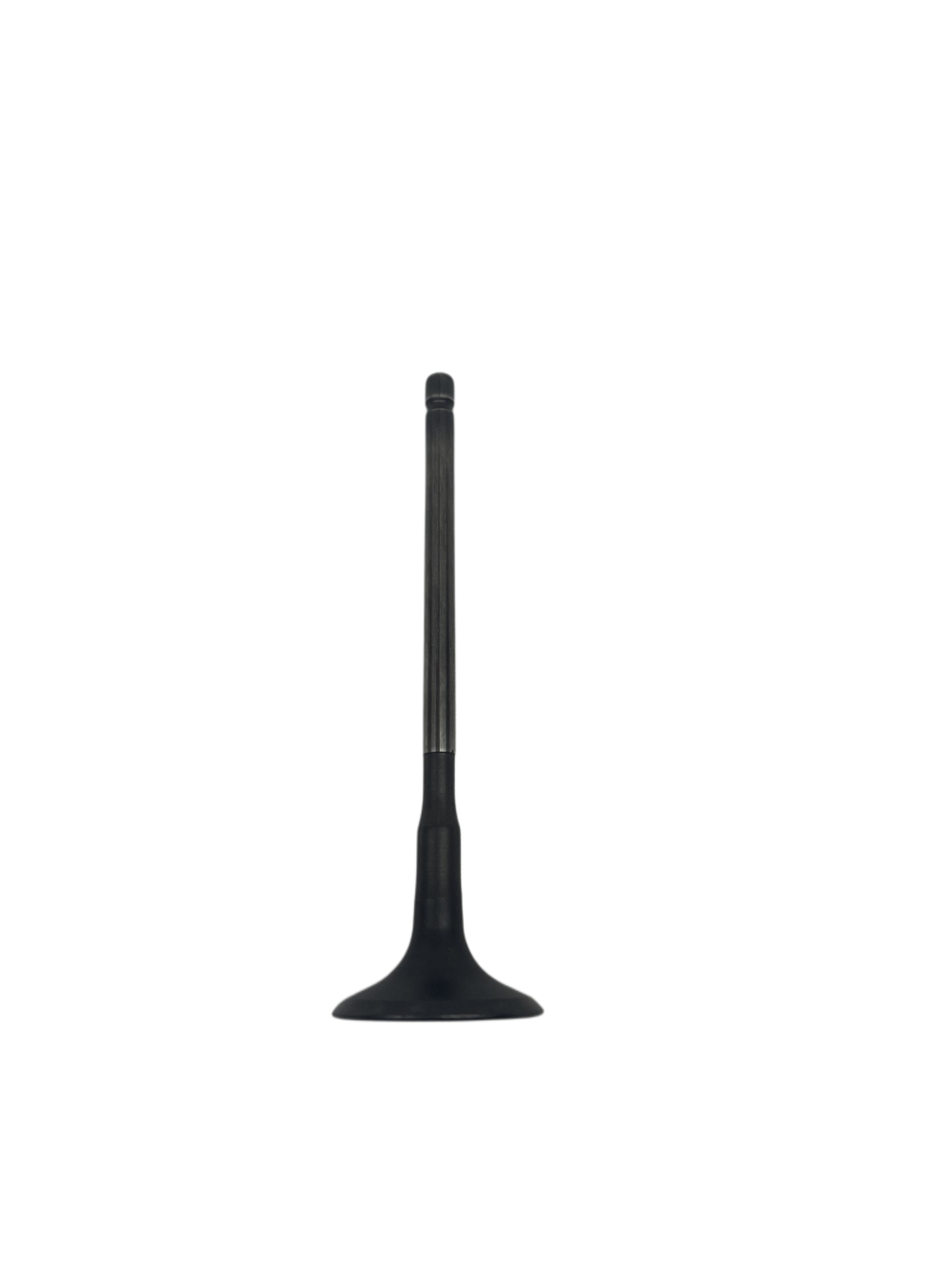 Exhaust Valve