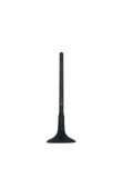 Exhaust Valve