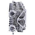 Cylinder Head Sub-Assembly