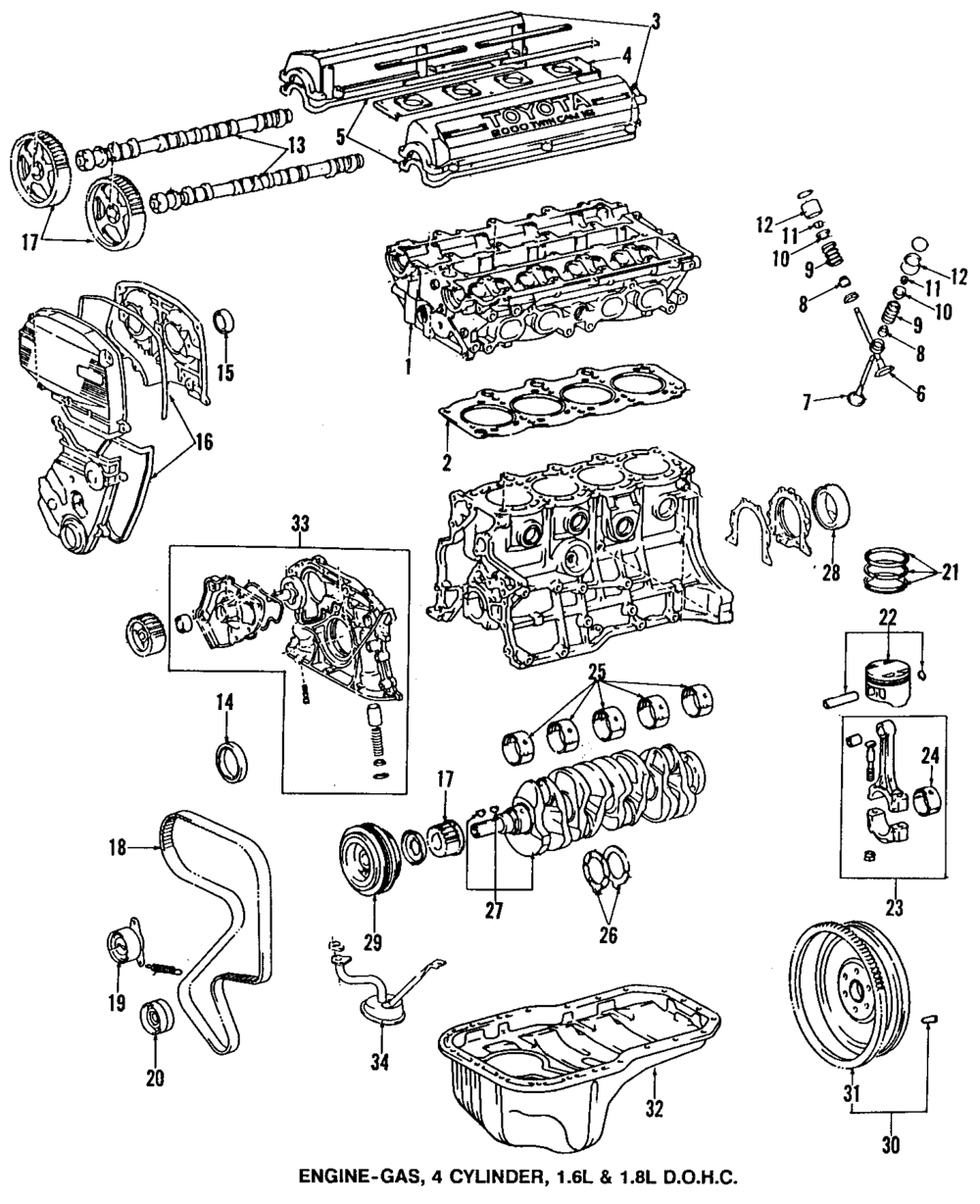 Timing Belt