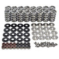 Platinum .660" Lift Valve Spring Kit