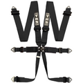 Pro 6 Point FIA Harness