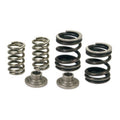 3000 RPM Governor Spring Kit
