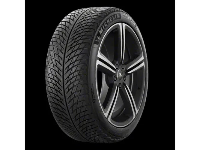 Michelin Pilot Alpin 5 315/30R21 105V XL