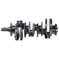 Crankshaft Sub-Assembly