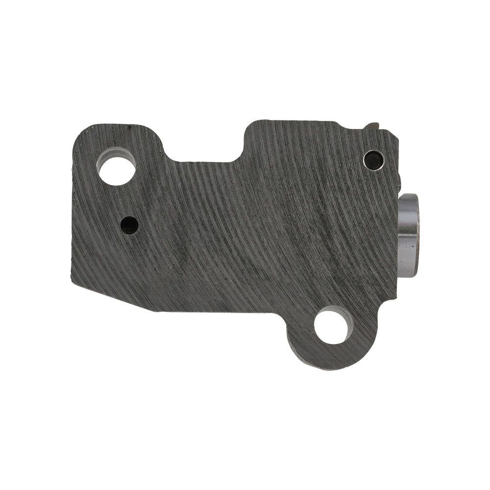 Timing Chain Tensioner Assembly, Driver Side