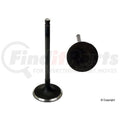 Intake Valve