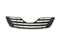 Radiator Grille