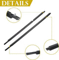 Rear Passenger Side Outer Door Glass Weatherstrip