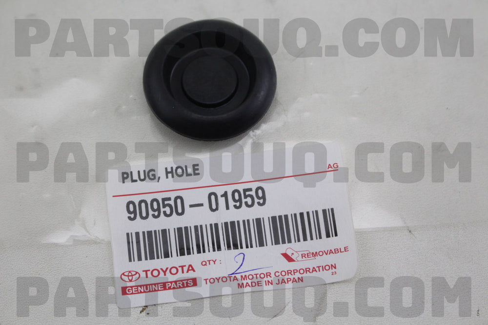 Hole Plug