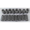 Beehive Valve Spring Set