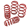Lowering Springs