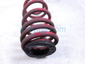 Lowering Springs