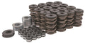 Track Heat Valve Spring Upgrade Kit