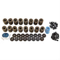 Track Heat Valve Spring Upgrade Kit