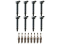 8-Piece Ignition Coil Set