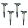 Ignition Coil Set