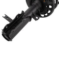 Front Strut and Spring Assembly Set
