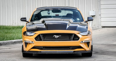 A49-3 Carbon Fiber Hood