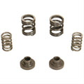 3000 RPM Governor Spring Kit