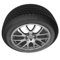 Tiger Paw A/S All-Season Tire