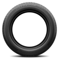 Tiger Paw Touring AS Tire