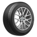 Tiger Paw Touring AS Tire