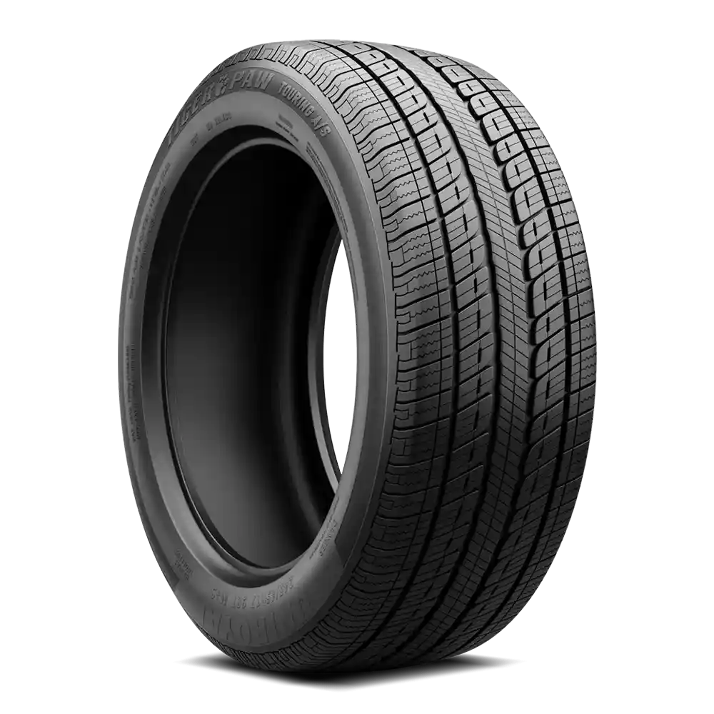 Tiger Paw Touring AS Tire