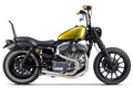 2-Into-1 Exhaust System w/ Carbon Fiber End Cap