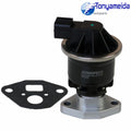 OE Replacement Drive Belt