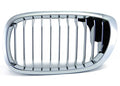 Left Kidney Grille